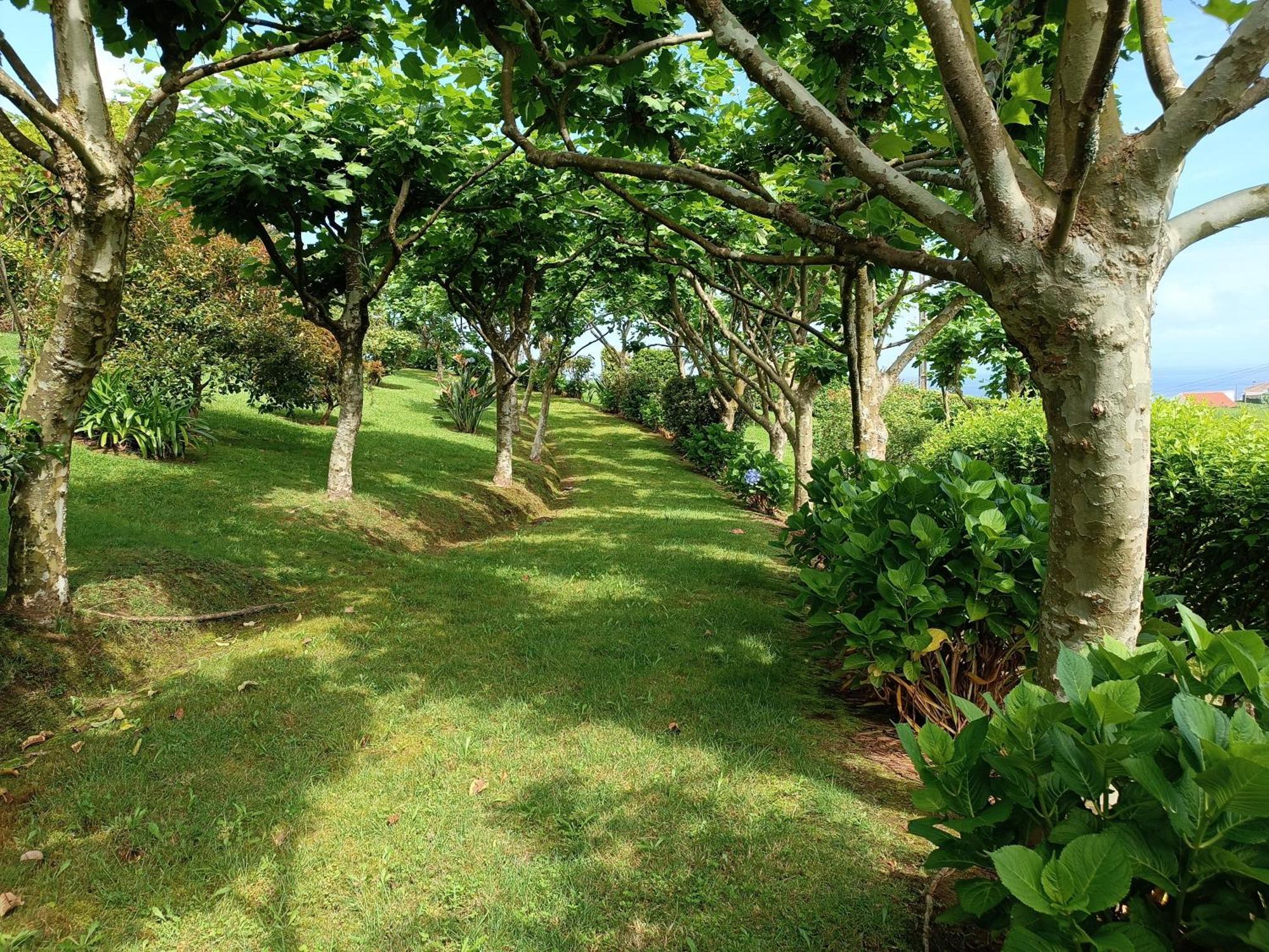 Tradicampo Eco Country Houses Nordeste  Eksteriør billede